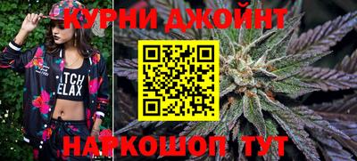 гашик Дубна