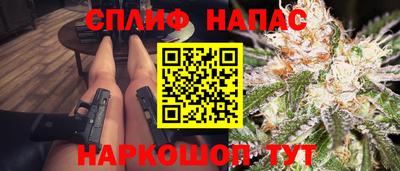гашик Дубна