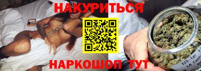 гашик Дубна